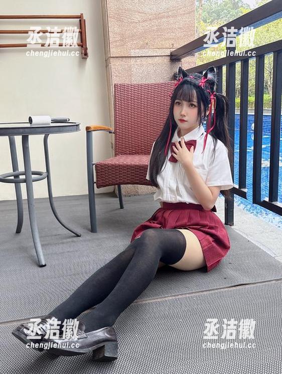 不呆猫 不呆猫在上司路:全套项目全面下载,速来围观~