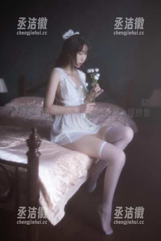 不呆猫 婚纱美图精选:不呆猫用心证明,婚纱也可以傲娇
