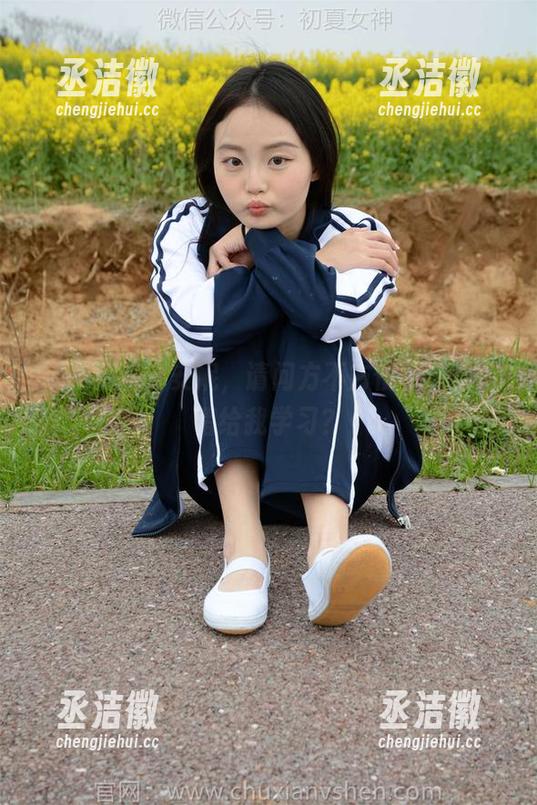 初夏女神-安妮 初夏女神 - 安妮,请问方不方便把这套图借给我学习?