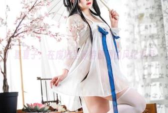 夏夏子：在废墟里等待原图的风纪委员